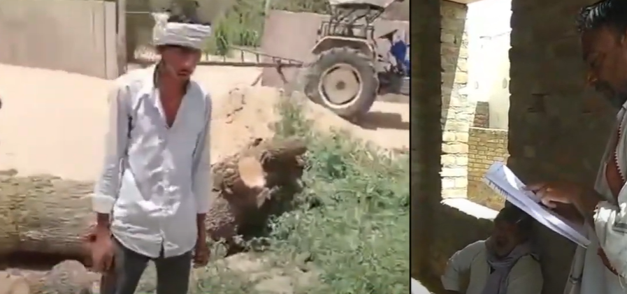 कल्याणपुरा में ठाकुर जी महाराज मंदिर परिसर से पेड़ों की अवैध कटाई, ग्रामीणों में भारी आक्रोश 10 SARDARSHAHAR NEWS image 23 SARDARSHAHAR NEWS