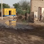 image 6 SARDARSHAHAR NEWS