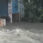 राजस्थान में मूसलाधार बारिश: कई जिलों में ऑरेंज और यलो अलर्ट, जनजीवन प्रभावित 12 SARDARSHAHAR NEWS image 1 SARDARSHAHAR NEWS