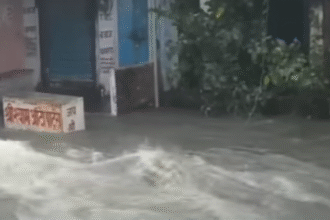 राजस्थान में मूसलाधार बारिश: कई जिलों में ऑरेंज और यलो अलर्ट, जनजीवन प्रभावित 22 SARDARSHAHAR NEWS image 1 SARDARSHAHAR NEWS